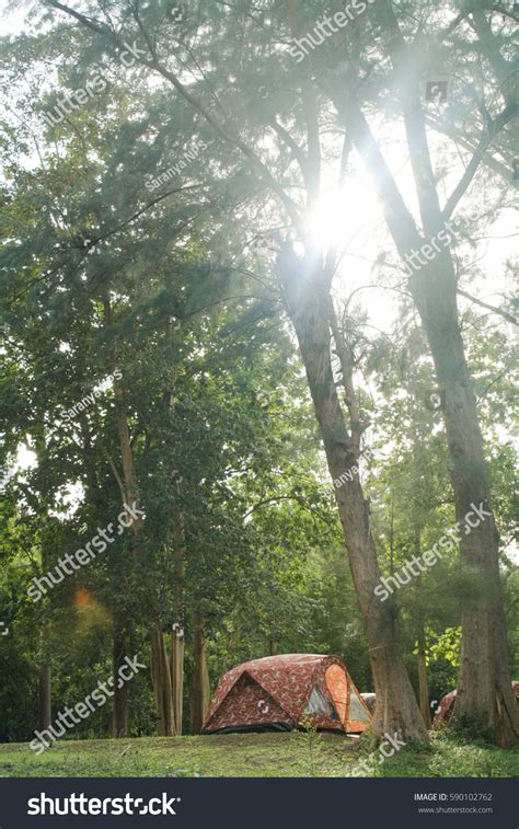 Tent Camping Woods Stock Photo 590102762 - Shutterstock