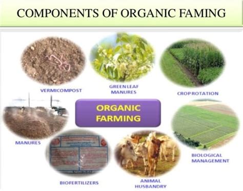 Organic Agriculture Information Guide | Agri Farming