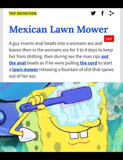 Thanks, I hate the Mexican Lawn Mower : r/TIHI