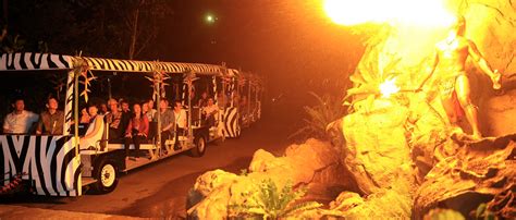 Night Safari at Bali Safari Marine Park, Embark The Adventure