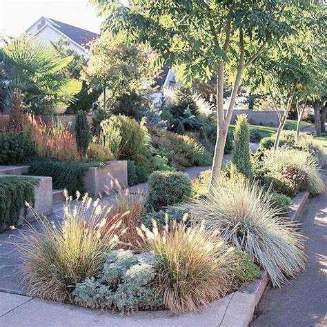 55 Low Maintenance Front Yard Landscaping Ideas | Drought tolerant garden, Native garden ...