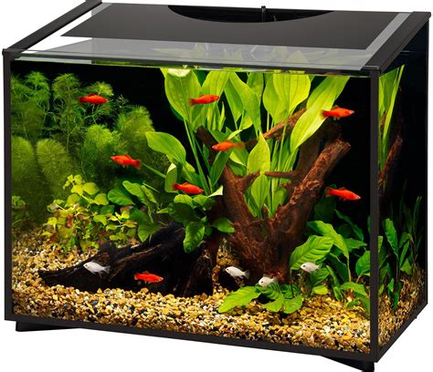 Aqueon Ascent 20 Gallon Frameless Led Aquarium Kit 23.75" x 12.625" x ...