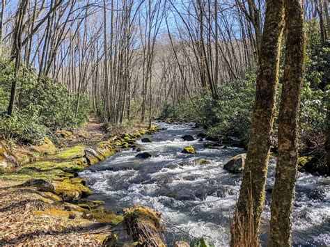 Hazel Creek in the Great Smoky Mountains National Park - Nate Shivar