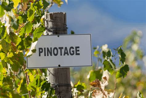 How to Find the Best Pinotage Wine - Vino Del Vida