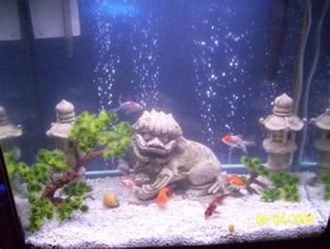 Goldfish Tank Decorations