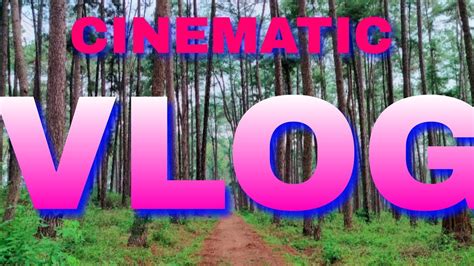 Cinematic vlog//Daringbadi pine forest//Kandhamal Odisha//@MuVloggerk - YouTube