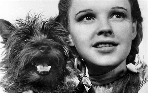 Dorothy and Toto - Toto (The Wizard of Oz) Photo (40256461) - Fanpop