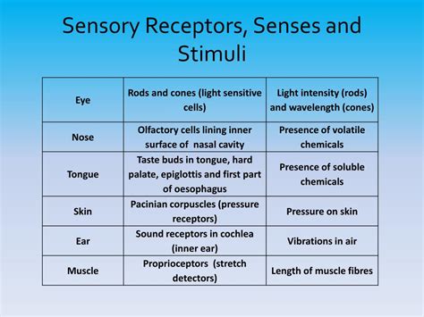 PPT - Communication and Homeostasis PowerPoint Presentation, free download - ID:1278038