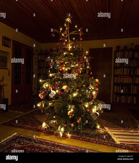 Christmas tree in Denmark Stock Photo - Alamy