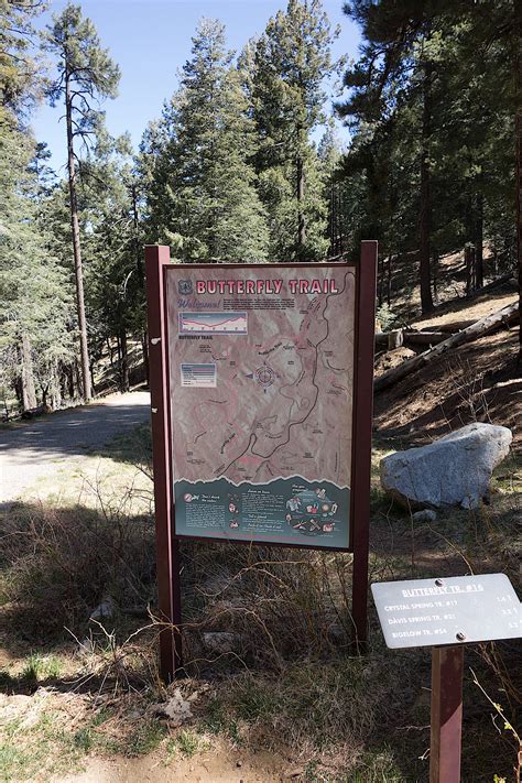 Upper Butterfly Trailhead | Hike Lemmon!