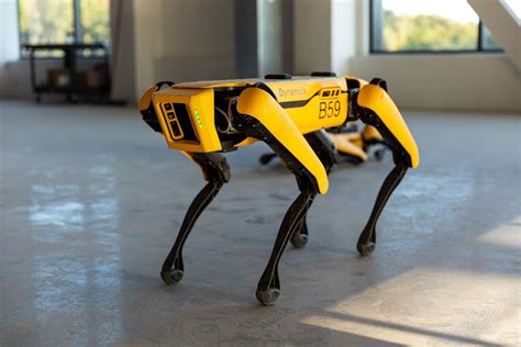 You Can Now Buy Spot, Singapore's Social Distancing Robot Dog, For US$74,500 | Geek Culture