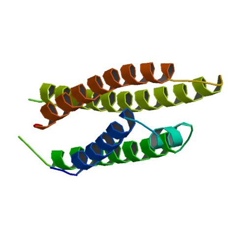 Apolipoprotein E | Wiki | Everipedia