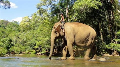 Ministry of Tourism, Cambodia - Official Website - Tourism Cambodia