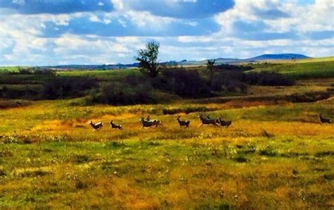 Killdeer Mountain Battlefield Site | Killdeer, North Dakota