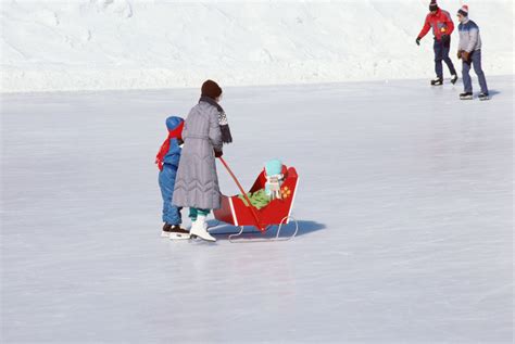 Glide on Rideau Canal: Ottawa Winter Free Photo Download | FreeImages