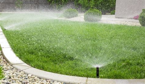 How Often Do You Really Need To Water Your Lawn?