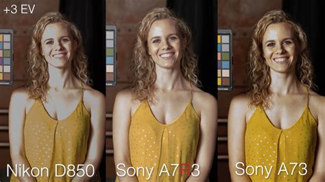 Shootout: Sony a7R III vs Sony a7 III vs Nikon D850