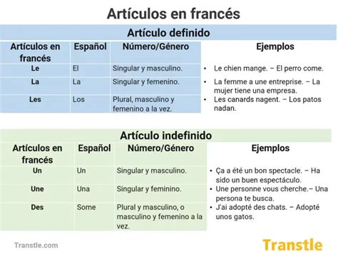 Artículos en Francés (L'article): Guía con Ejemplos - Transtle