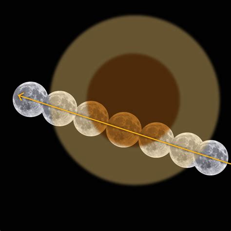 A visual guide on how to view the Beaver moon partial lunar eclipse