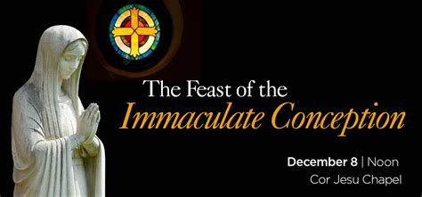 Barry University News - The Feast of the Immaculate Conception