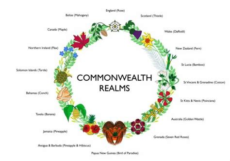 Buy Coronation Flags online | Commonwealth Realms | MrFlag