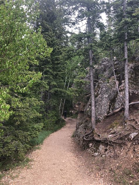 Black Elk Peak via Harney Peak Trail - South Dakota | AllTrails