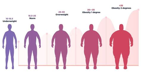 Calculate Your BMI (Body Mass Index)