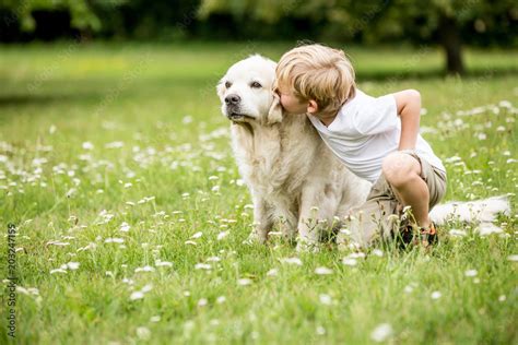 Child kissing Golden Retriever dog Stock Photo | Adobe Stock