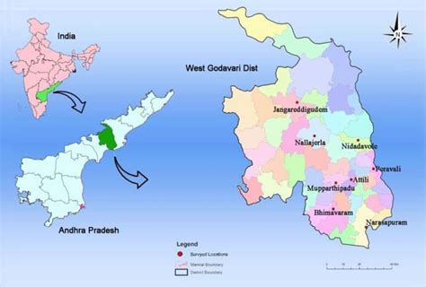 Map showing the surveyed areas of West Godavari district. | Download ...