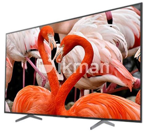 New 32'' Singhagiri HD LED Tv in Colombo 14 | ikman