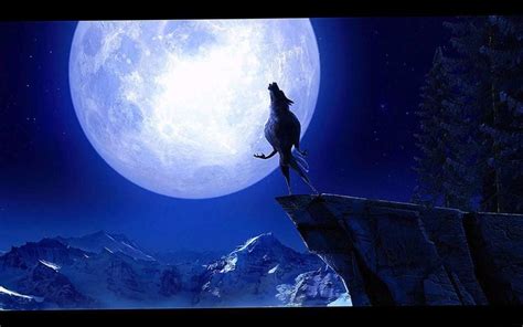 Werewolf Moon Wallpapers - Wolf Background Images