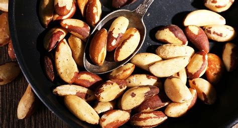 How to Roast Brazil Nuts: A Simple Step-by-Step Guide – Healthy Blog | Brazil nuts recipe, Low ...