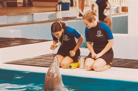 Dolphin Tale Set - Clearwater Marine Aquarium