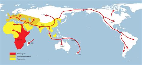 Pin on Migration of Human's