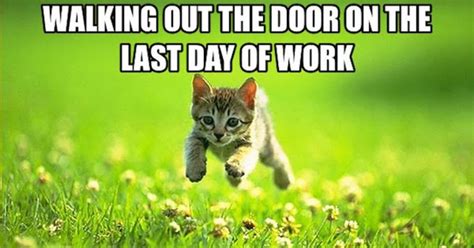 25 Memes to Celebrate Your Last Day at Work | Fairygodboss