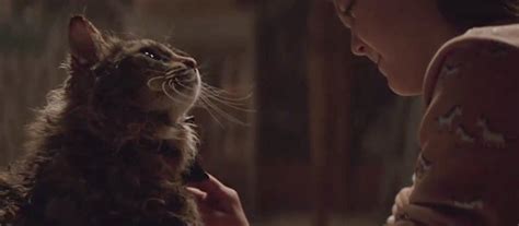 Pet Sematary (2019) - Cinema Cats