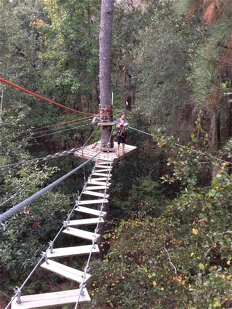 End of course race to the end, huge zipline! - Picture of Tallahassee ...