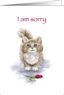 Apology Cards With Cats from Greeting Card Universe