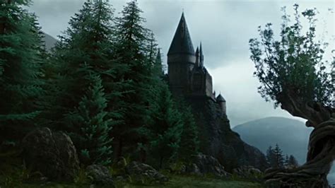 Harry Potter Forest Wallpapers - Top Free Harry Potter Forest ...