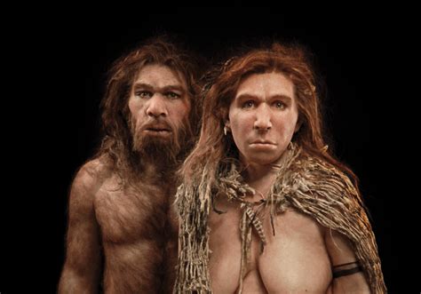 Neanderthal DNA in Modern Human Genomes Is Not Silent | The Scientist Magazine®