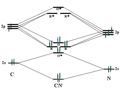 Molecular Orbital Diagram Cn - Wiring Site Resource