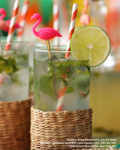 Malibu Lime Mojito | Coconut rum drinks, Mojito, Rum drinks