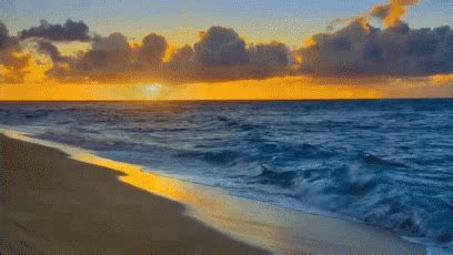 Sunset Beach GIF - Sunset Beach LifesABeach - Discover & Share GIFs ...