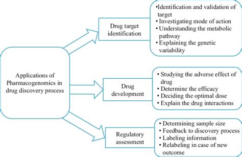 2 Applications of pharmacogenomics across the drug discovery process ...