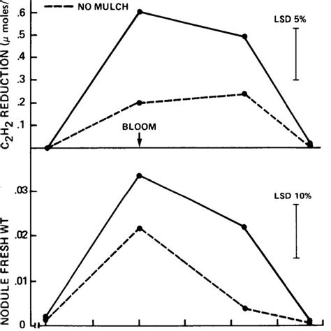 The effect of rice hull mulch on fresh weight of bean plant parts. | Download Scientific Diagram