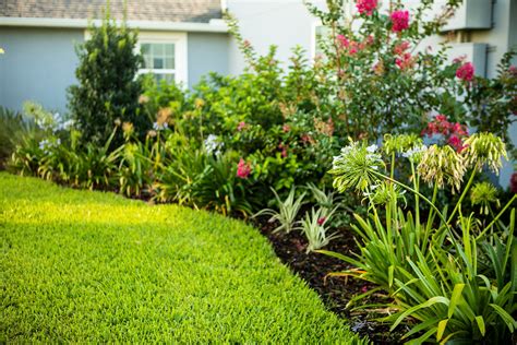 7 Landscape Design Tips for Perfect Plantings at Your Orlando, FL Home
