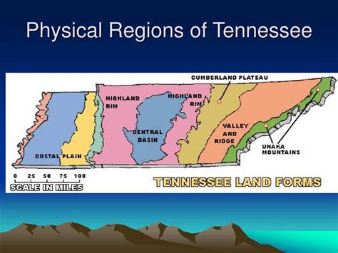 PPT - Physical Regions of Tennessee from West to East PowerPoint Presentation - ID:1074469