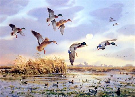 James Killen Fish Pond Mallards | Waterfowl art, Hunting painting, Hunting art