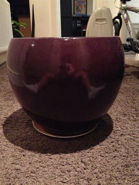 Large Ceramic Plant Pot / Planter - Dark Purple | in Bournemouth, Dorset | Gumtree