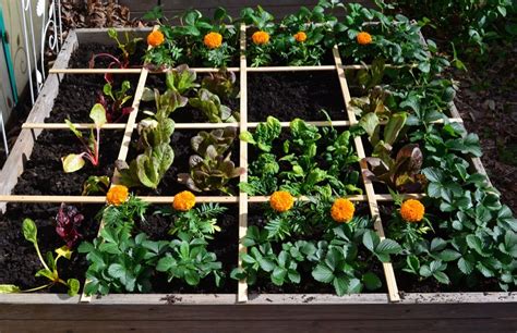 Square foot gardening is exactly what the name says: dividing a growing area into 1-foot x 1 ...